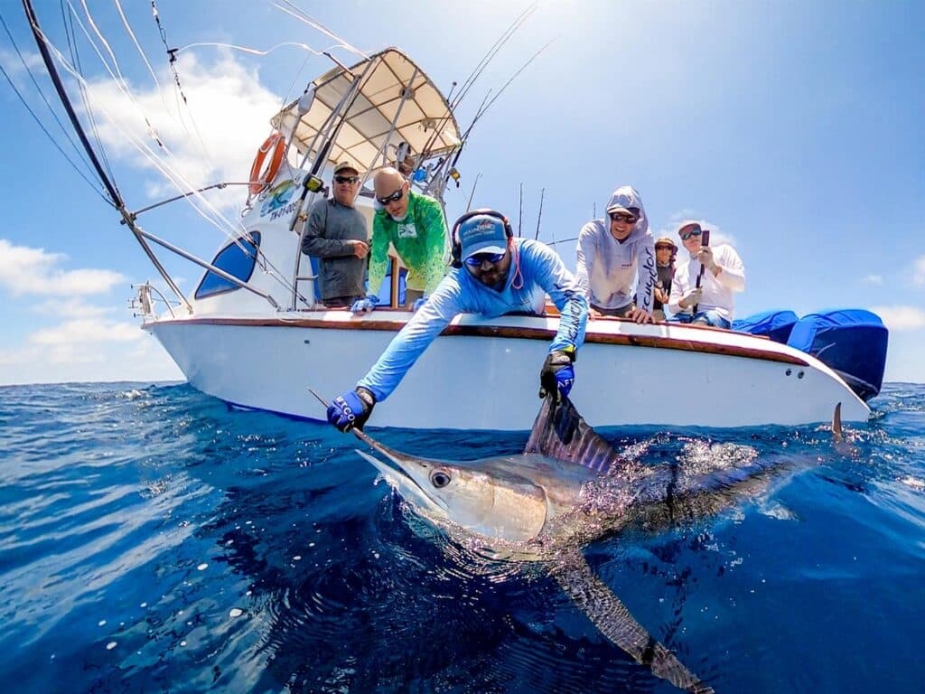 Anglers pulling a billfish boatside.